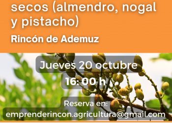 Jornada sobre frutos secos (alendro, nogal y pistacho). 20 octubre 2022