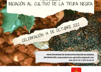 Iniciación al cultivo de la trufa negra. 14 octubre 2022