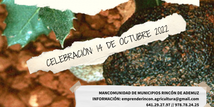 Iniciación al cultivo de la trufa negra. 14 octubre 2022