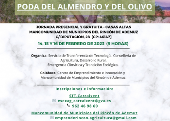 Curso técnico de especialización “Poda del almendro y del olivo”. 14-15-16 de febrero