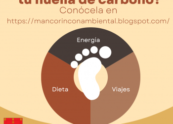 CALCULA TU HUELLA DE CARBONO