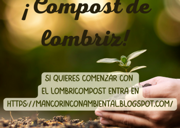COMPOST DE LOMBRIZ