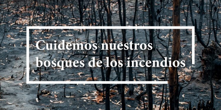 Protejamos nuestros bosques de los incendios