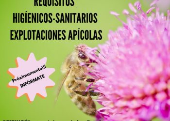 Requisitos higiénico-sanitarios en explotaciones apícolas
