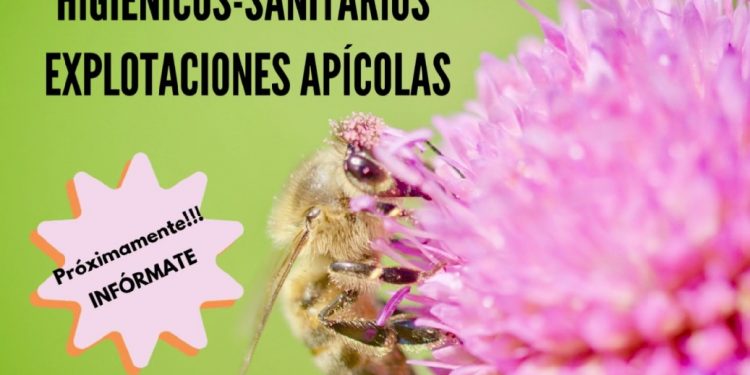 Requisitos higiénico-sanitarios en explotaciones apícolas