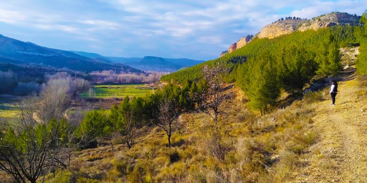 Ruta Mirador de La Muela. Casas Altas – Ademuz