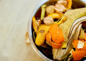 Importancia de la reutilización de la materia orgánica generada en nuestros hogares