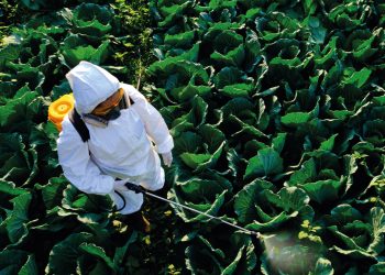 Inscríbete en el curso de Manipulador/a de Fitosanitarios Nivel Básico