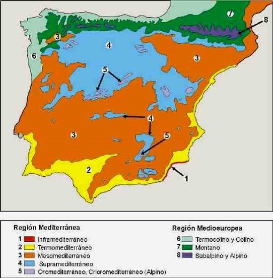 Mapa de la Península Ibérica donde se muestran los pisos bioclimáticos distribuidos a diferentes altitudes y con diferentes temperaturas y precipitaciones .