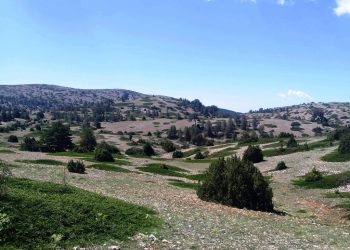 Ecosistemas del Rincón de Ademuz