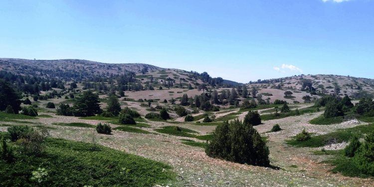 Ecosistemas del Rincón de Ademuz