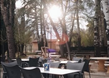 Oferta de empleo: Camareros/as y ayudantes de cocina, Chiringuito de Torrebaja