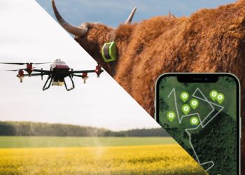 Ayudas destinadas a la aplicación de agricultura de precisión y tecnologías 4.0 en el sector agrícola y ganadero del Rincón de Ademuz