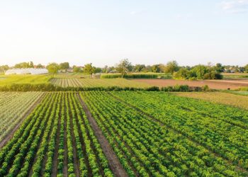 Apúntate a los nuevos cursos del área agropecuaria que se van a realizar este otoño