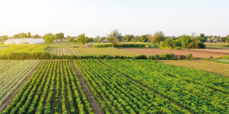 Apúntate a los nuevos cursos del área agropecuaria que se van a realizar este otoño