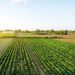 Apúntate a los nuevos cursos del área agropecuaria que se van a realizar este otoño
