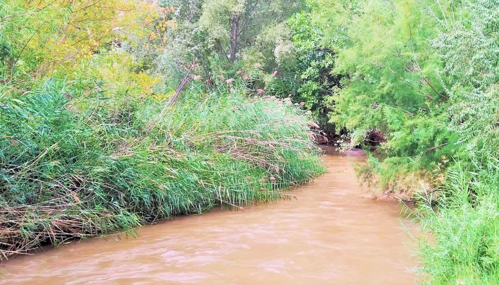 Río Turia a su paso por el merendero de Casas Bajas