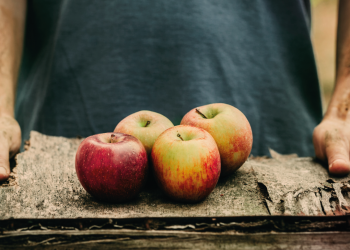 Curso “Cultivo Ecológico del Manzano”, días 20, 21 y 23 de septiembre