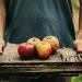 Curso “Cultivo Ecológico del Manzano”, días 20, 21 y 23 de septiembre