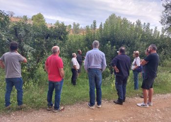 Resumen de las Jornadas sobre el Cultivo Ecológico del Manzano