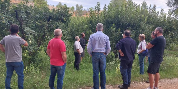 Resumen de las Jornadas sobre el Cultivo Ecológico del Manzano