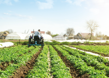 Apúntate al curso de “Prevención de Riesgos Laborales en el Sector Agrario”