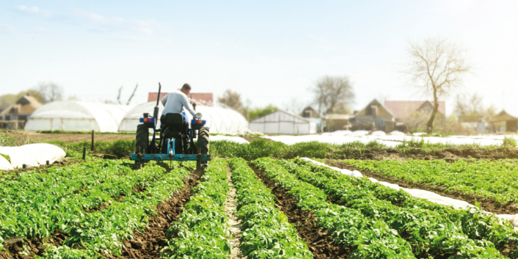 Apúntate al curso de “Prevención de Riesgos Laborales en el Sector Agrario”