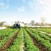 Apúntate al curso de “Prevención de Riesgos Laborales en el Sector Agrario”