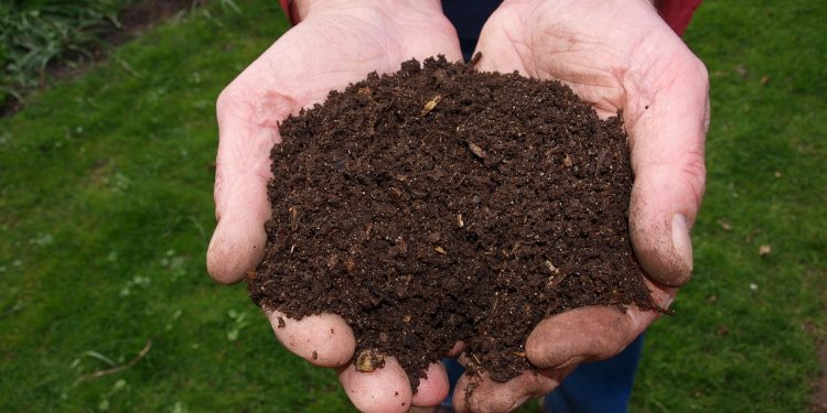 Súper datos sobre… ¡Compost!