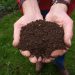 Súper datos sobre… ¡Compost!
