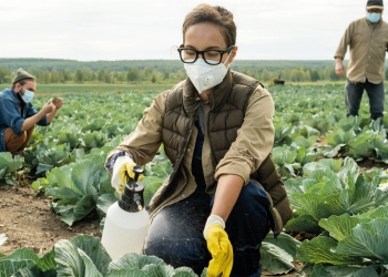 Curso de manipulador de plaguicidas, nivel Renovación (6 horas), 8 y 9 de noviembre 2023