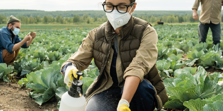 Curso de manipulador de plaguicidas, nivel Renovación (6 horas), 8 y 9 de noviembre 2023