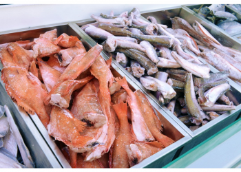 Congelados Margabal necesita VENDEDOR AMBULANTE de alimentos congelados