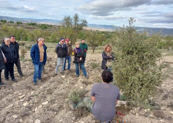 Resumen Curso Técnico sobre el Cultivo y Gestión de la Trufa Negra