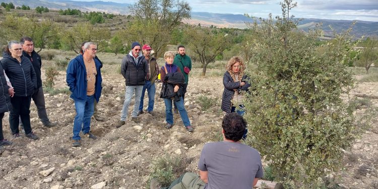 Resumen Curso Técnico sobre el Cultivo y Gestión de la Trufa Negra