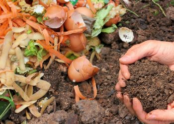 Descarga tu dosier sobre el nuevo programa de gestión de residuos del Rincón de Ademuz