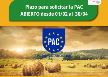 Ayudas incluidas en solicitud única PAC