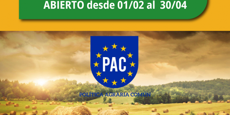 Ayudas incluidas en solicitud única PAC