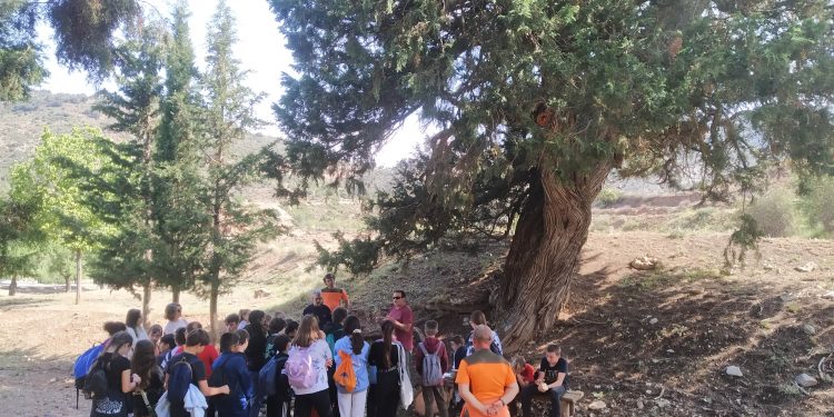 El CRA Ademuz comienza la 3ª edición del PROYECTO RÍO “Viajando por el Rincón”