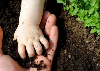 Huerto intergeneracional