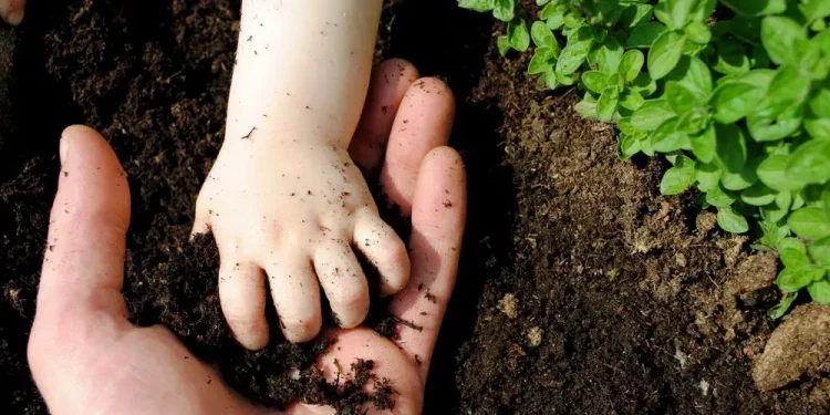 Huerto intergeneracional