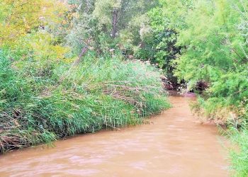 IV BIOMARATÓN DE FLORA “Reserva de la Biosfera del ALTO TURIA”