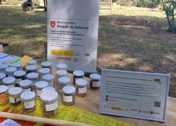 Participación en la “Feria de las Flores”, de Torrebaja.