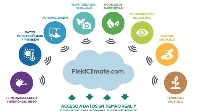 ESTACIÓN DE ENFERMEDADES EN CULTIVOS