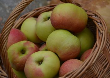 FORMACIÓN TURISMO FORMACIÓN EN GASTRONOMÍA CURSO CDT