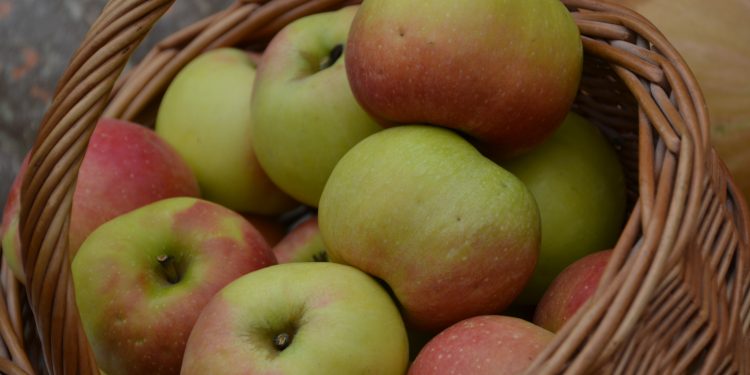 FORMACIÓN TURISMO FORMACIÓN EN GASTRONOMÍA CURSO CDT