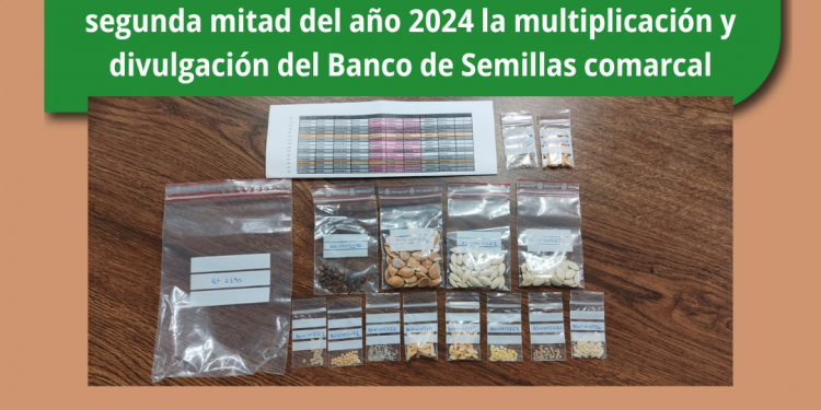 Banco de Semillas Comarcal, financiado por Diputación de Valencia.