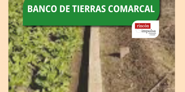 BANCO DE TEIRRAS COMARCAL