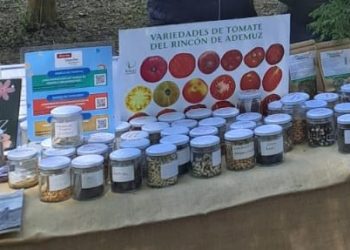 PARTICIPACIÓN EN LA “FERIA DE LAS FLORES”