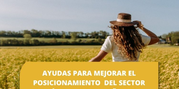 AYUDA PARA MEJORAR EL POSICIONAMIENTO DEL SECTOR TURÍSTICO PARA EL AÑO 2025